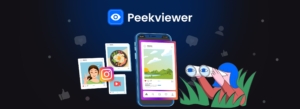 Peekviewer Überprüfung: Funktionsweise, Legitimität & Effektivität