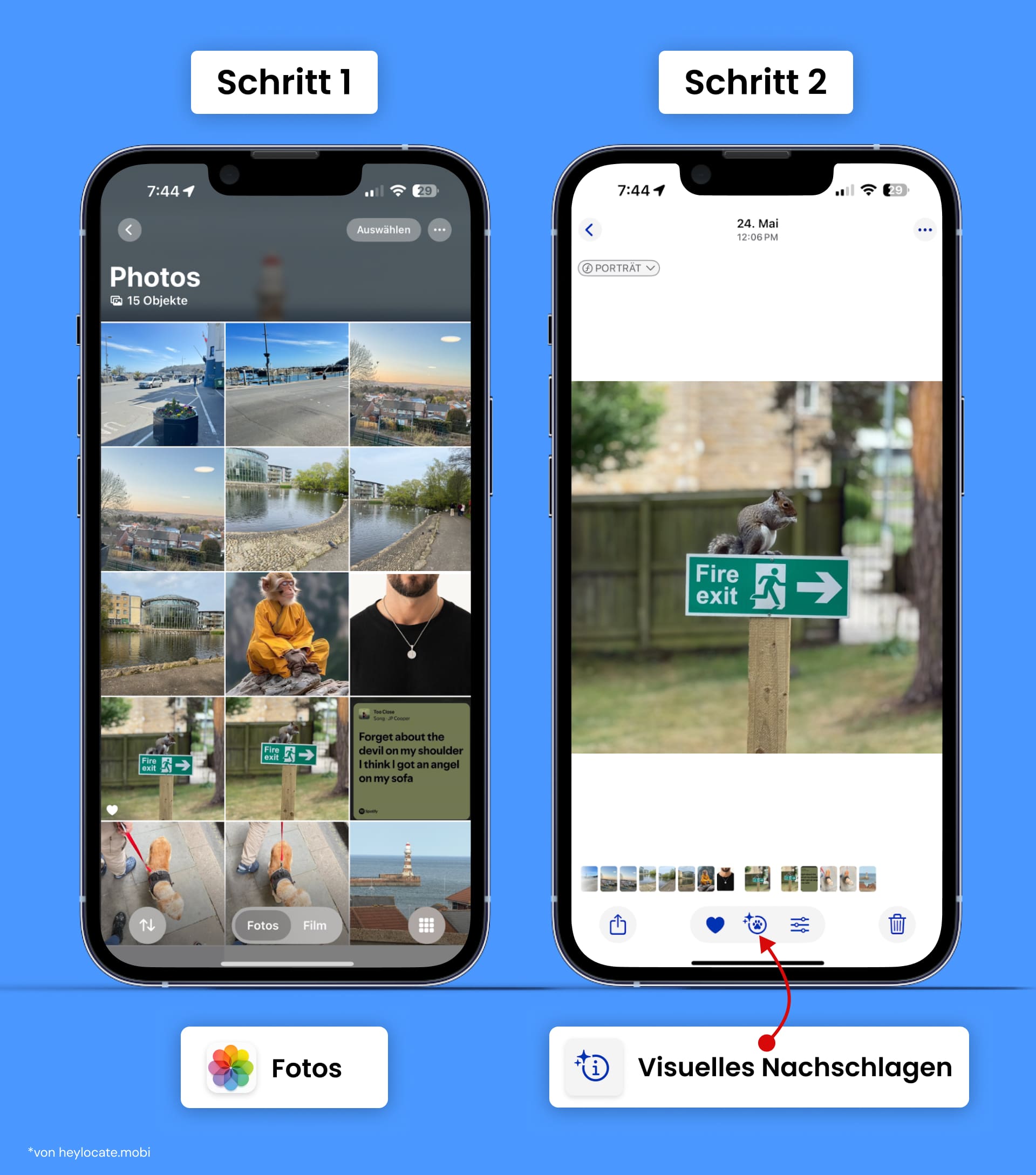 Das Info-Symbol mit einem Funkeln unter dem Bild, das den Visuelles Nachschlagen von Apple kennzeichnet, ist verfügbar.