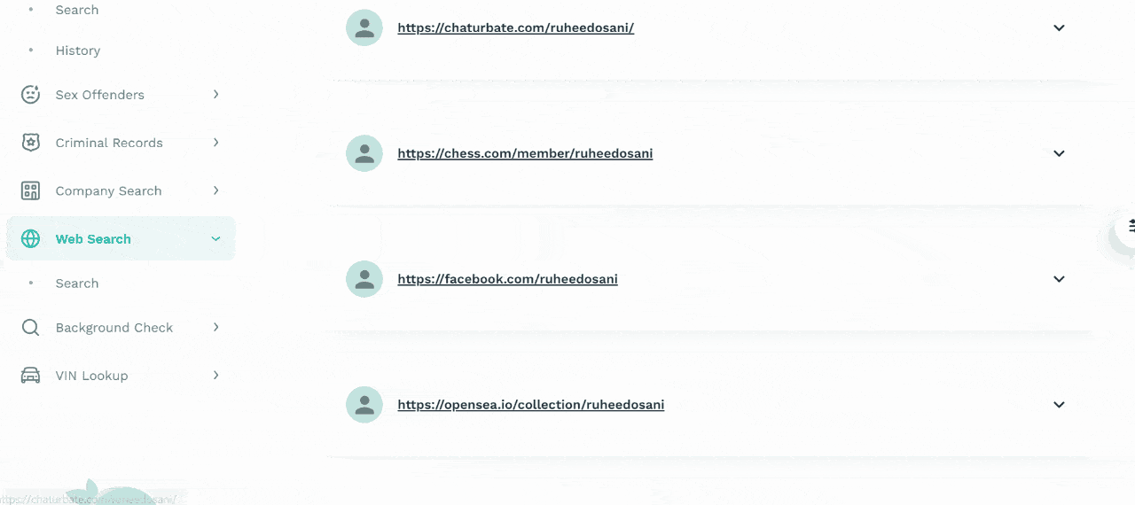 Búsqueda con nombre de usuario a través de la búsqueda web en Searqle y resultados con enlaces a redes sociales.