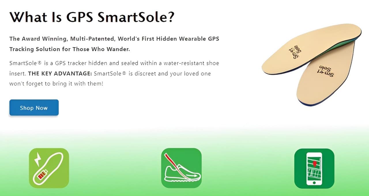 Vista de la página web oficial de SmartSole