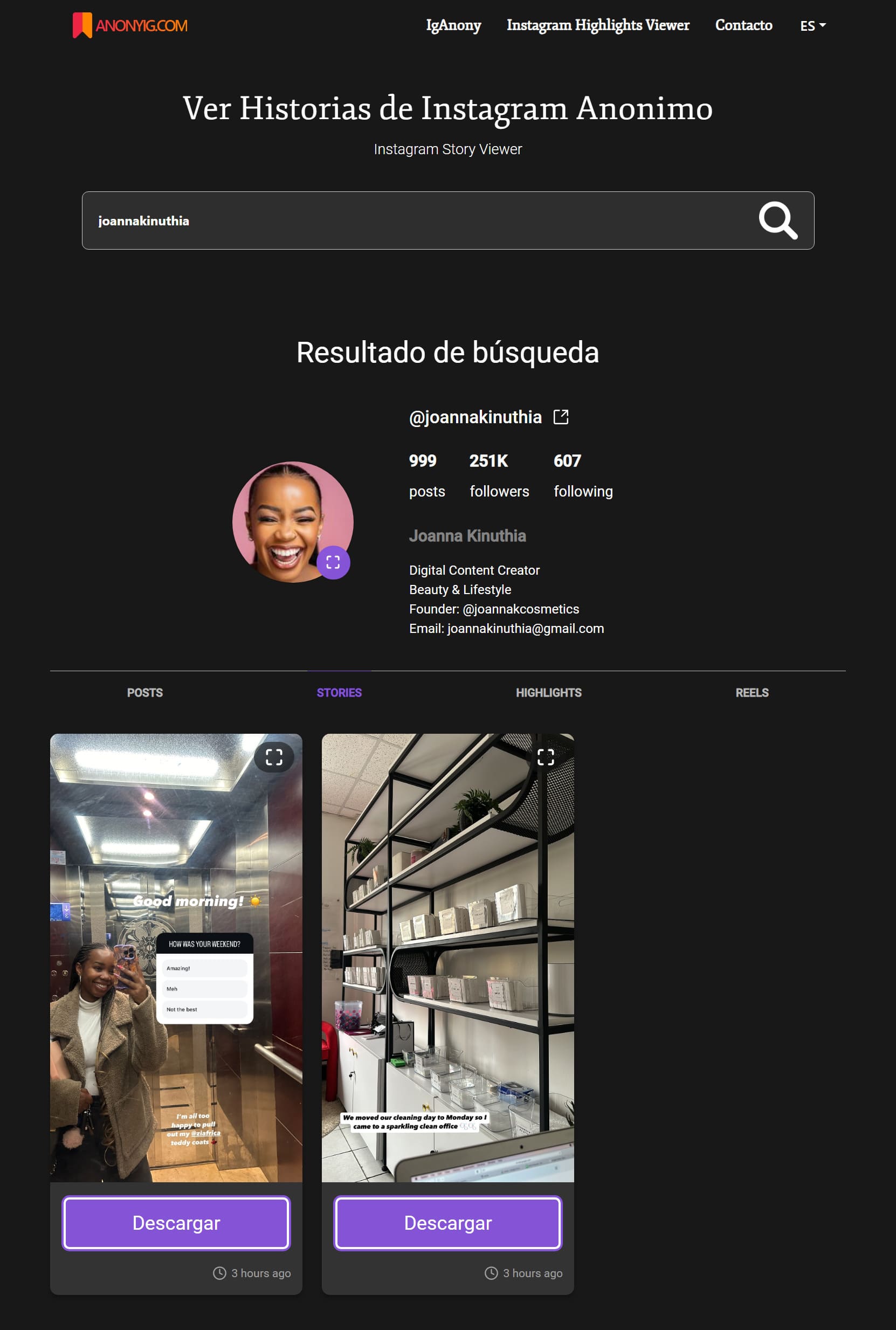 Visor de historias de Instagram AnonyIG que muestra las historias de alguien con la opción de descargarlas