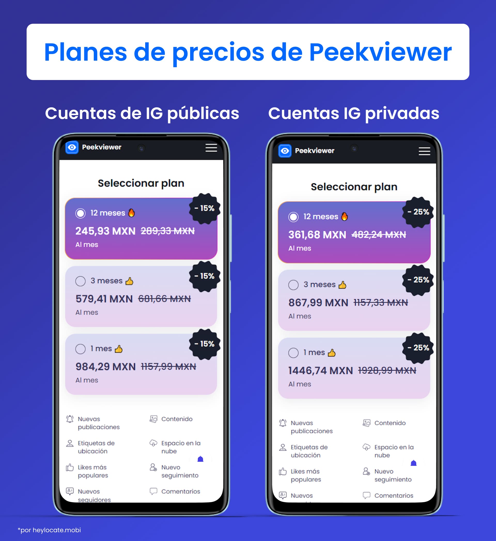 Comparación de los precios de suscripción mensual para ver cuentas de Instagram abiertas y cerradas utilizando el servicio de Peekviewer, mostrando opciones de planes con descuento de 1 mes, 3 meses y 12 meses.