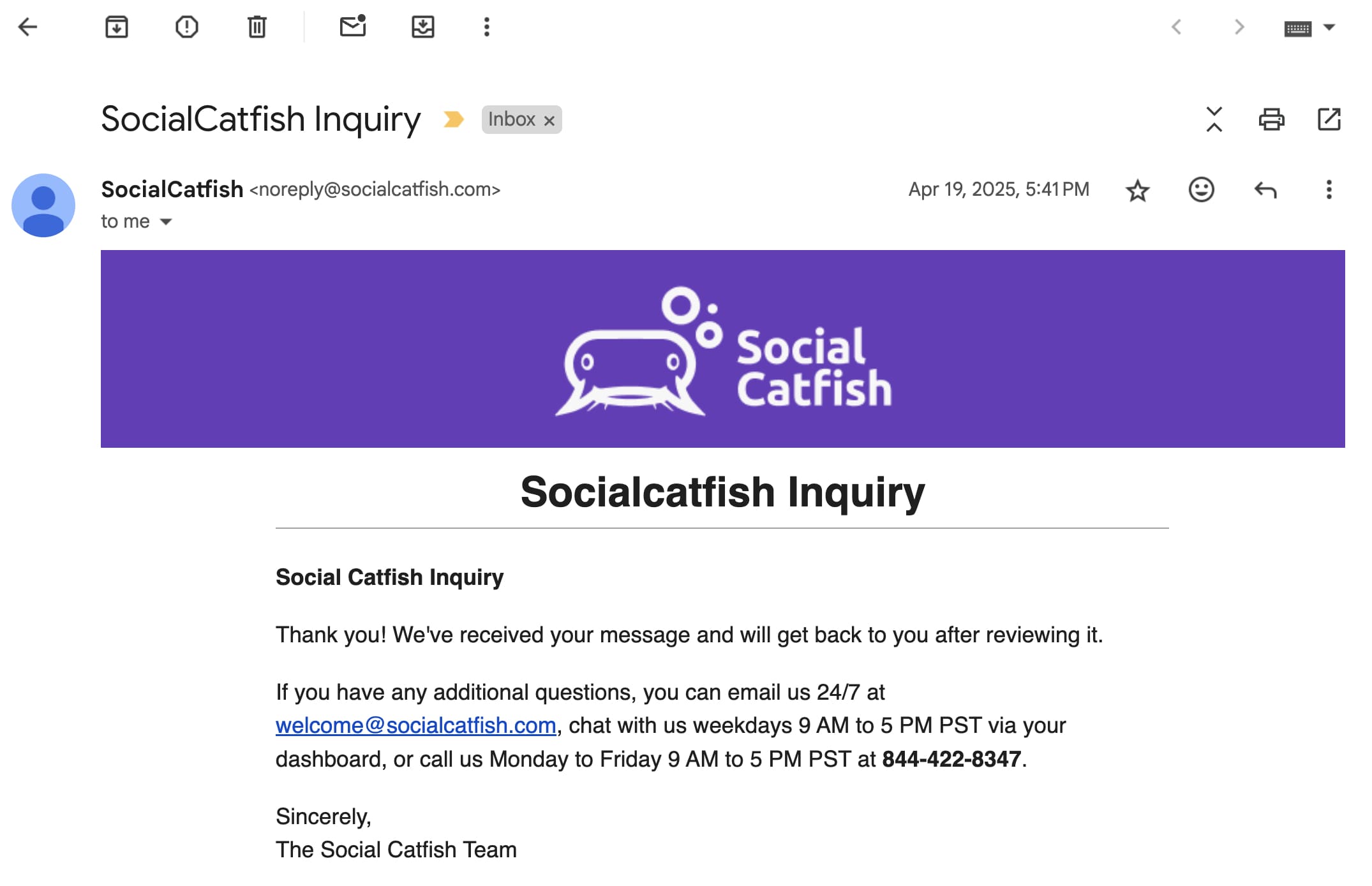 Un email de respuesta de Social Catfish después de enviar un mensaje de consulta.