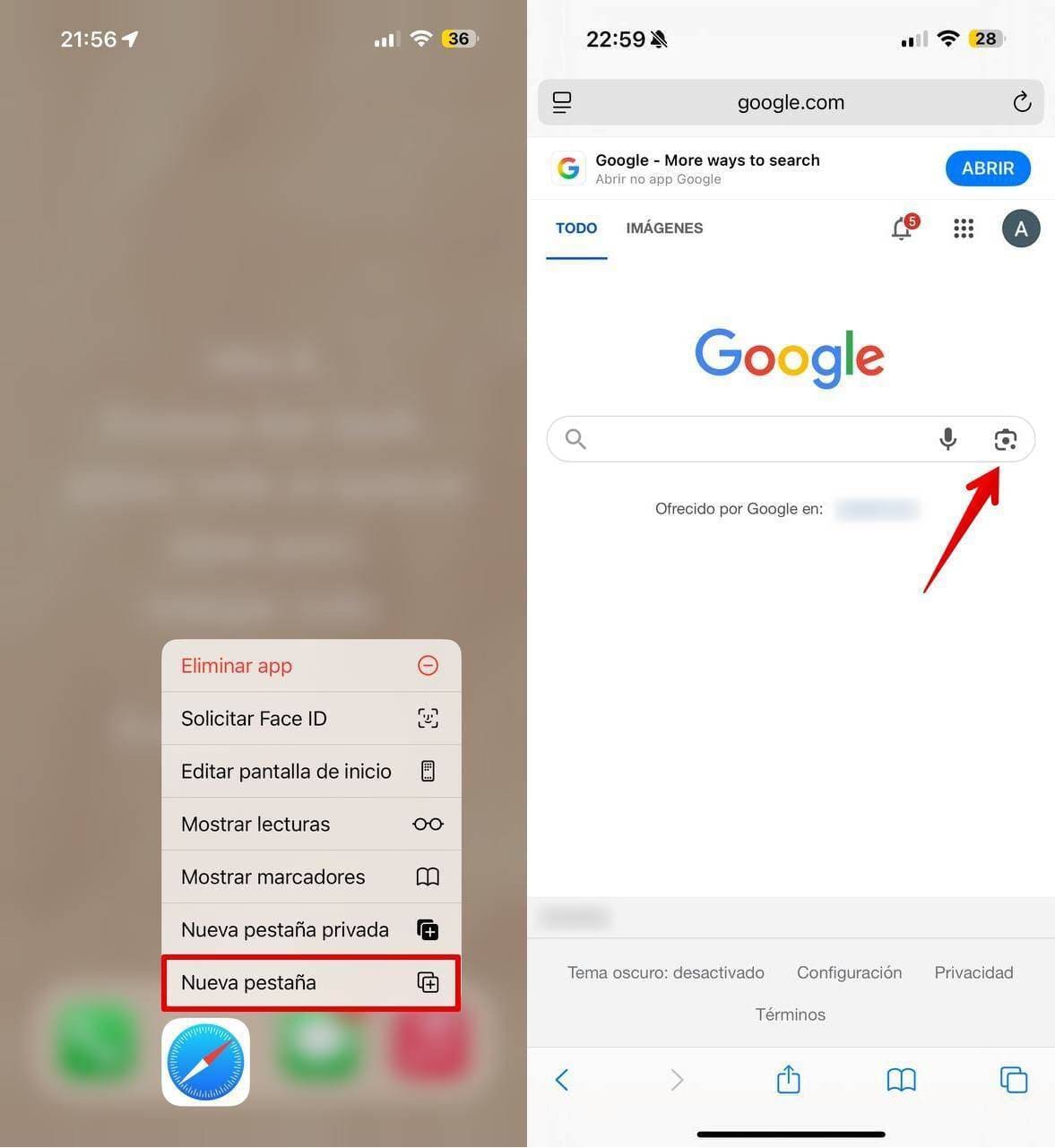 Captura de pantalla del icono de Safari y la página principal de Google.