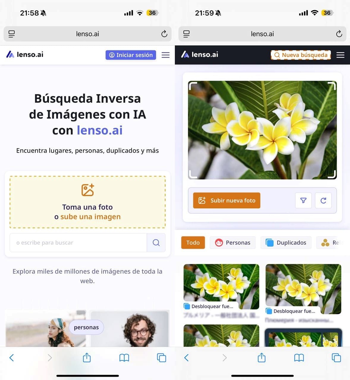 Captura de pantalla de los resultados de objetos proporcionados por la herramienta AI de búsqueda inversa de imágenes.