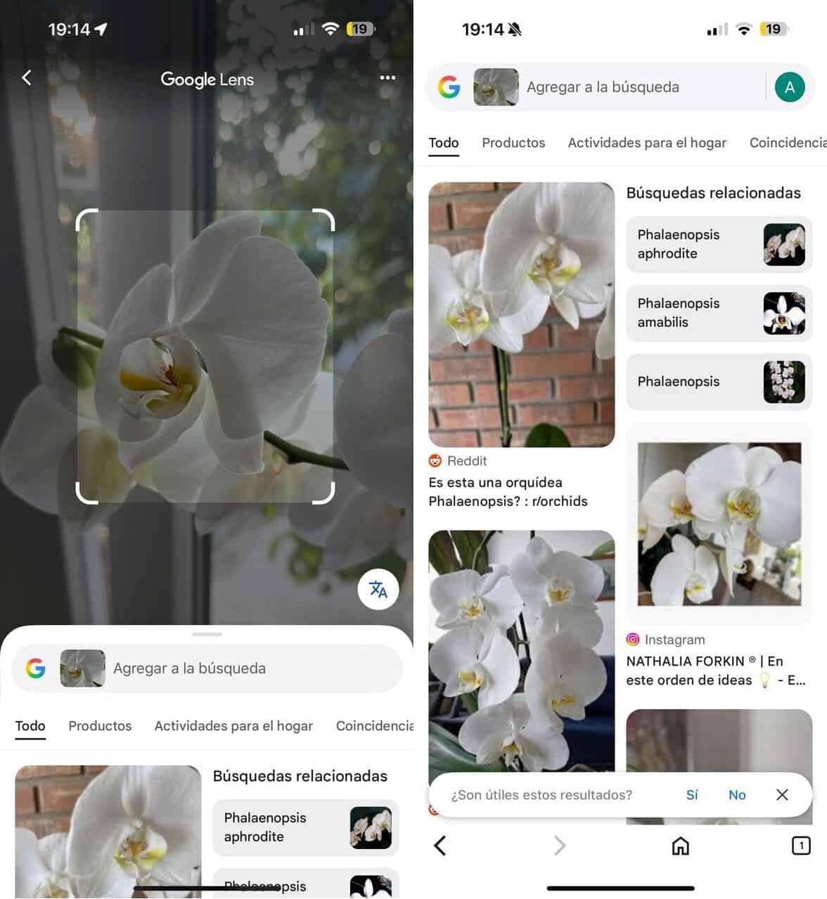 Captura de pantalla de la información proporcionada por la búsqueda inversa de imágenes de Google.