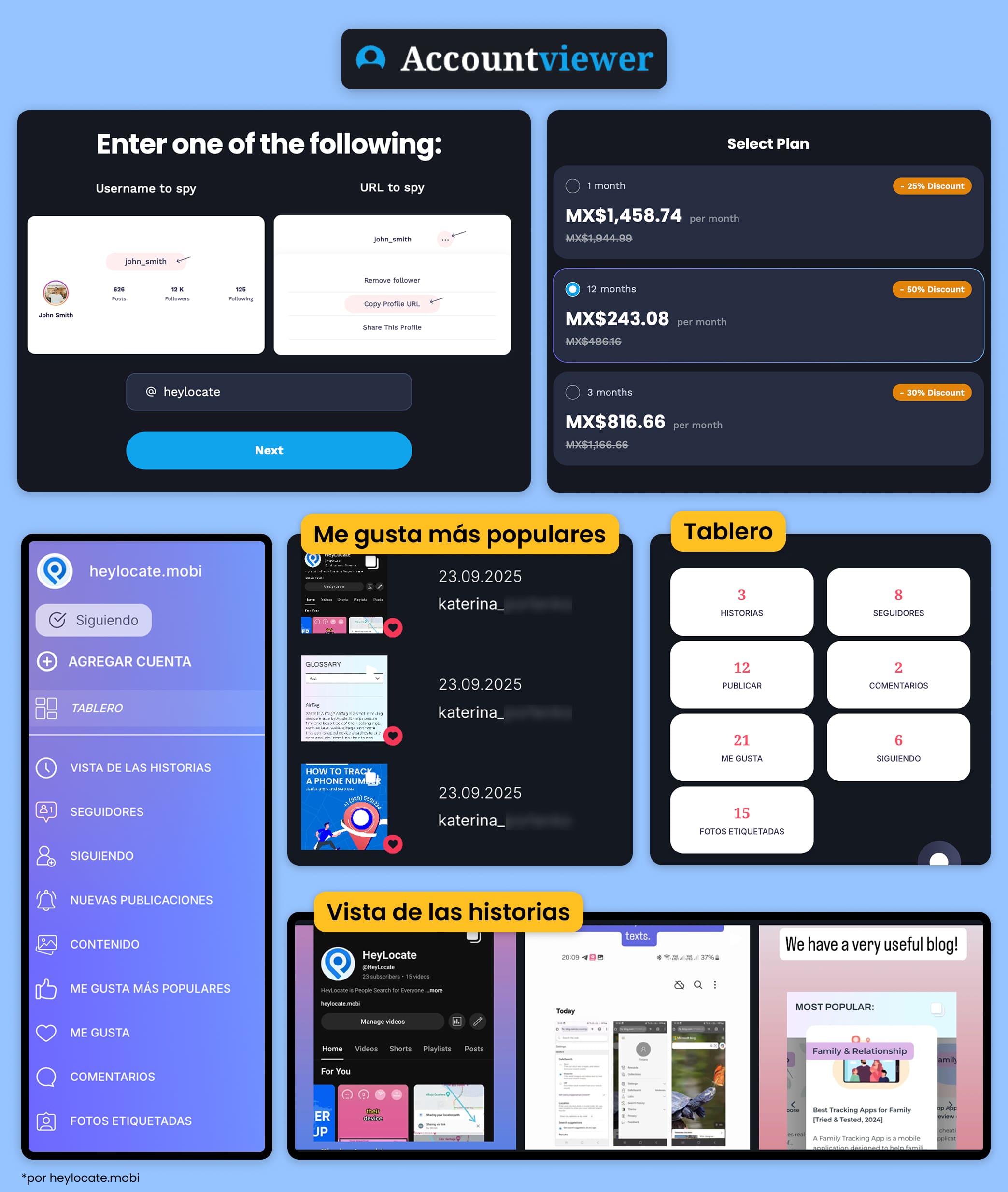Interfaz de AccountViewer con formulario de ingreso de perfil, precios, panel de control y ejemplos de likes y stories vistos.