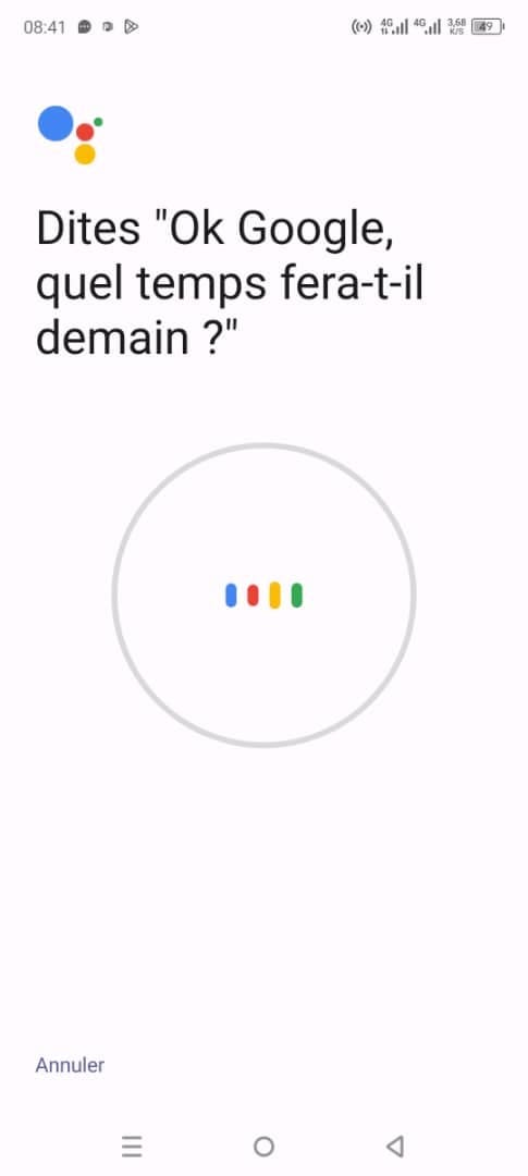Image de la configuration de Google Assistant