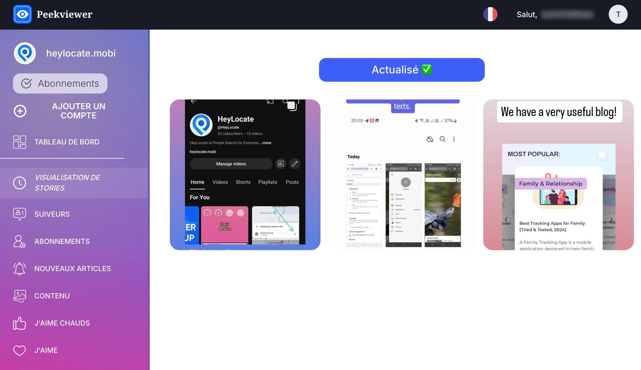 interface-de-visualisation-des-histoires-peekviewer.jpg