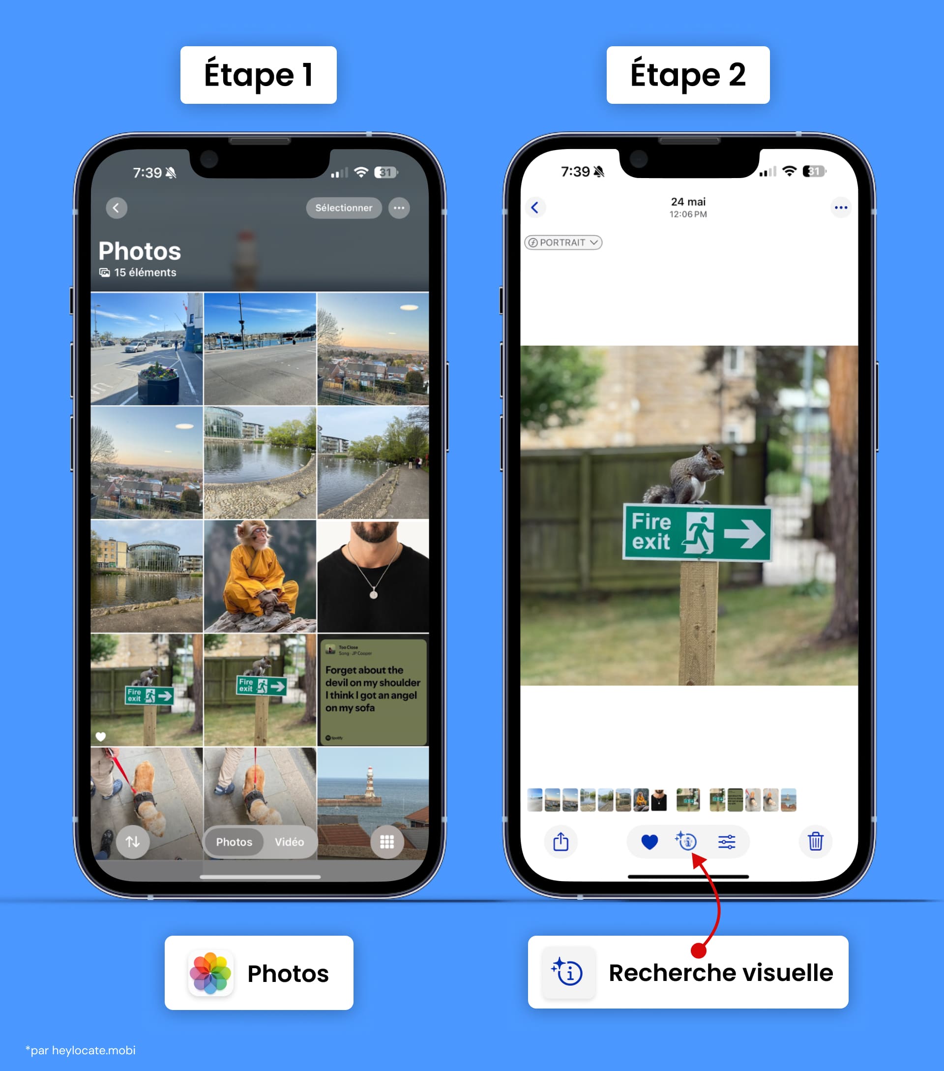 L’icône d’information avec des paillettes sous l’image identifiant la fonctionnalité Recherche visuelle d’Apple est disponible.