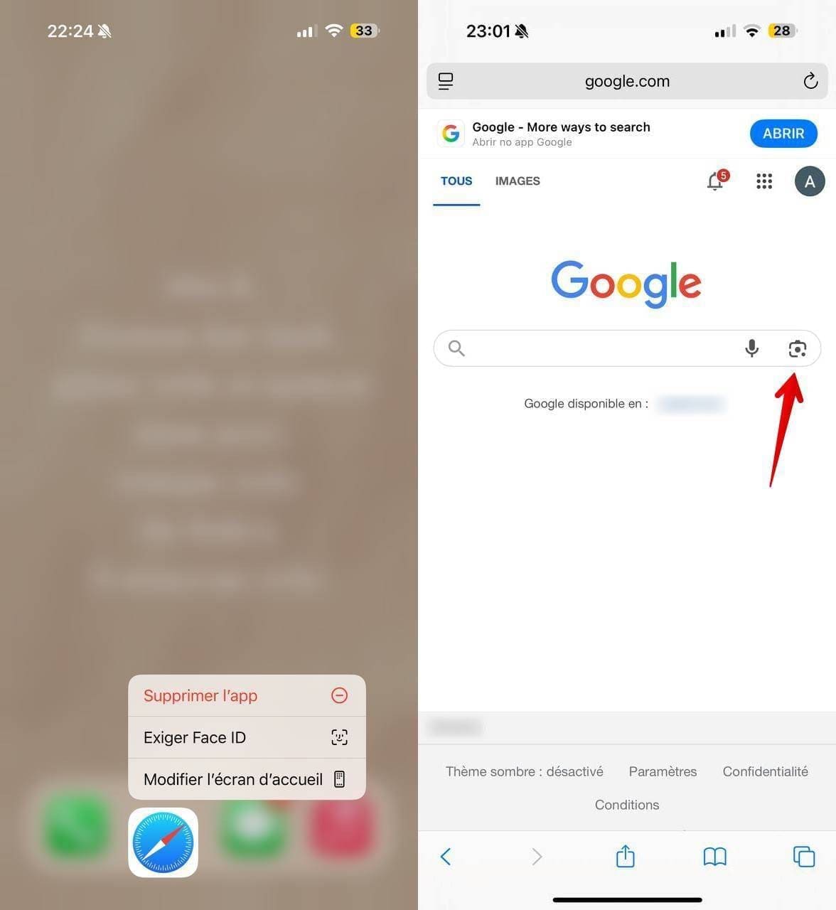 Capture d’écran de l'icône de Safari et de la page d’accueil de Google.