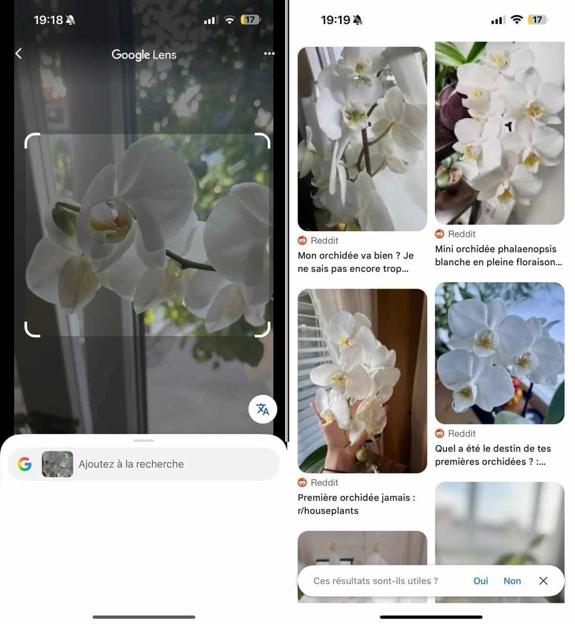 Capture d’écran d’informations fournies par la recherche d’image inversée de Google.