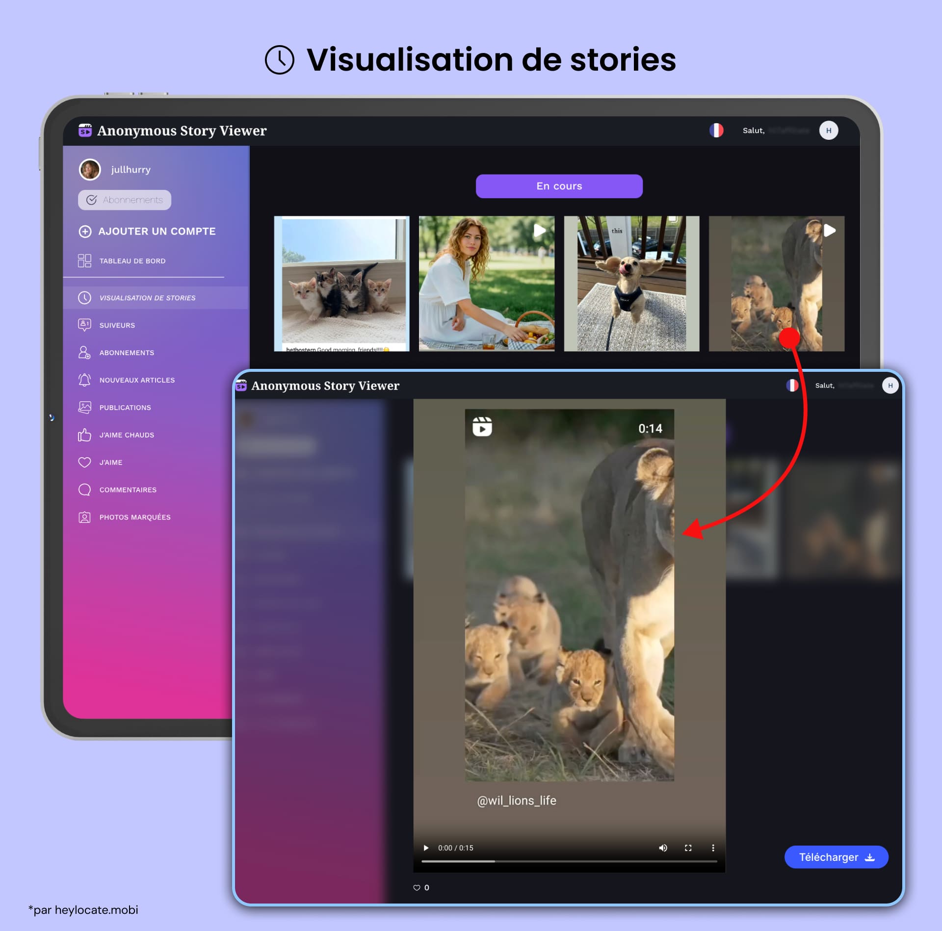 Une fonctionnalité pour consulter les stories avec des vignettes d'images et la story sélectionnée affichée en plein écran.