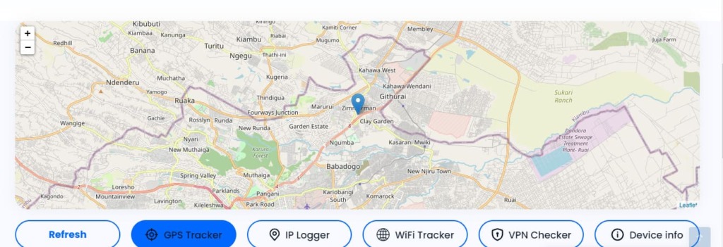La mappa integrata con la posizione trovata e le schede delle opzioni GPS disponibili sul sito GEOfinder