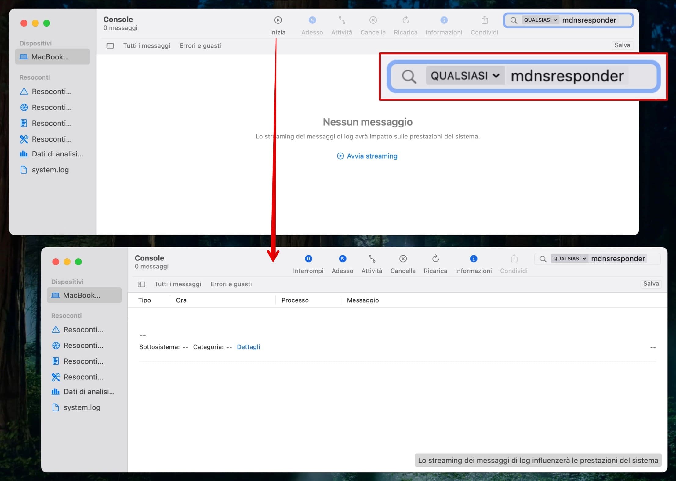 Inserisci il comando "mdnsresponder" con il parametro "any" nel campo di input e fai clic su Avvia.