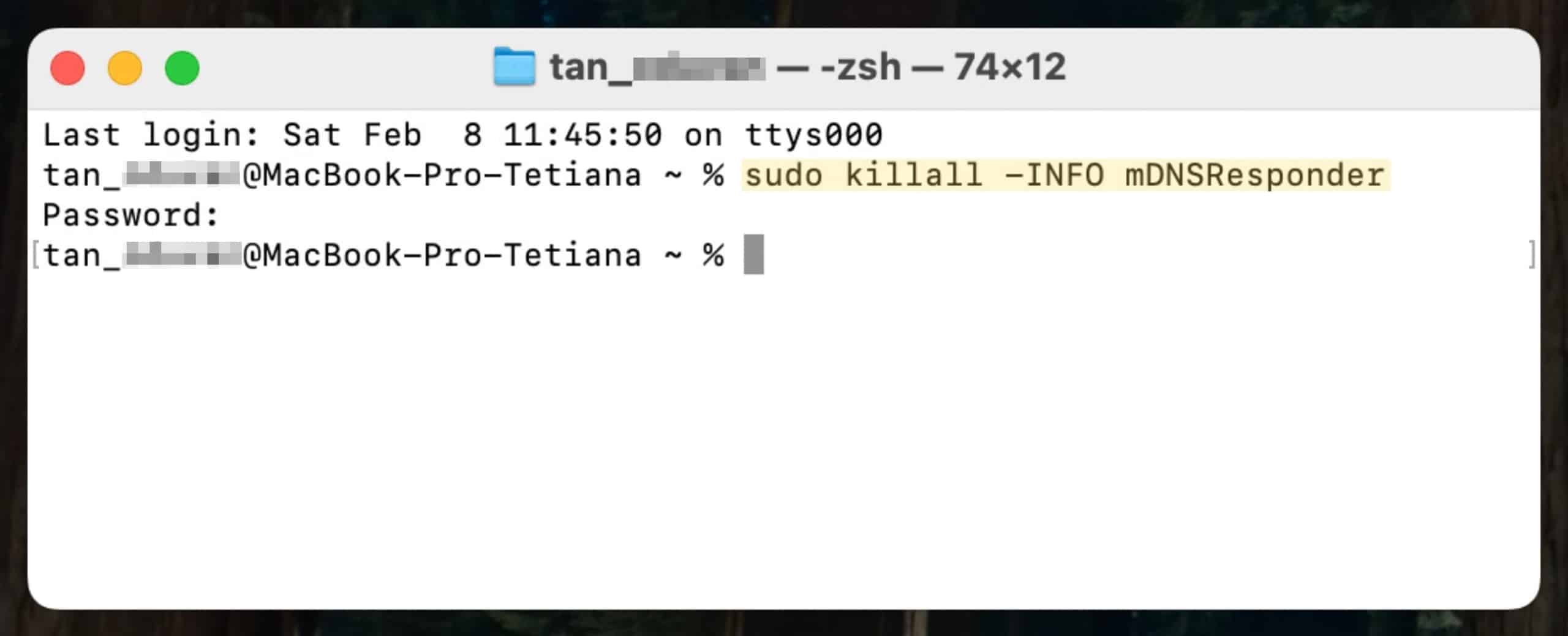 Nella finestra del terminale, digita il comando sopra, inserisci la password e premi Invio.