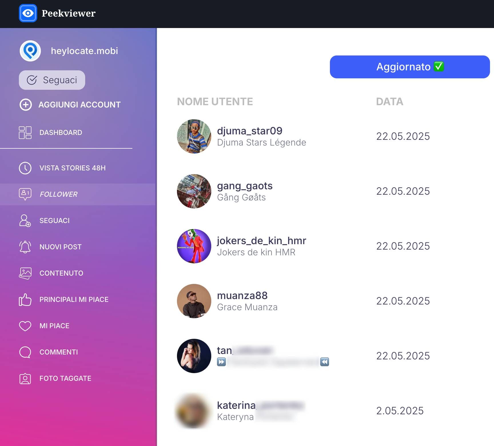 Peekviewer che mostra l'elenco dei follower di un account Instagram.
