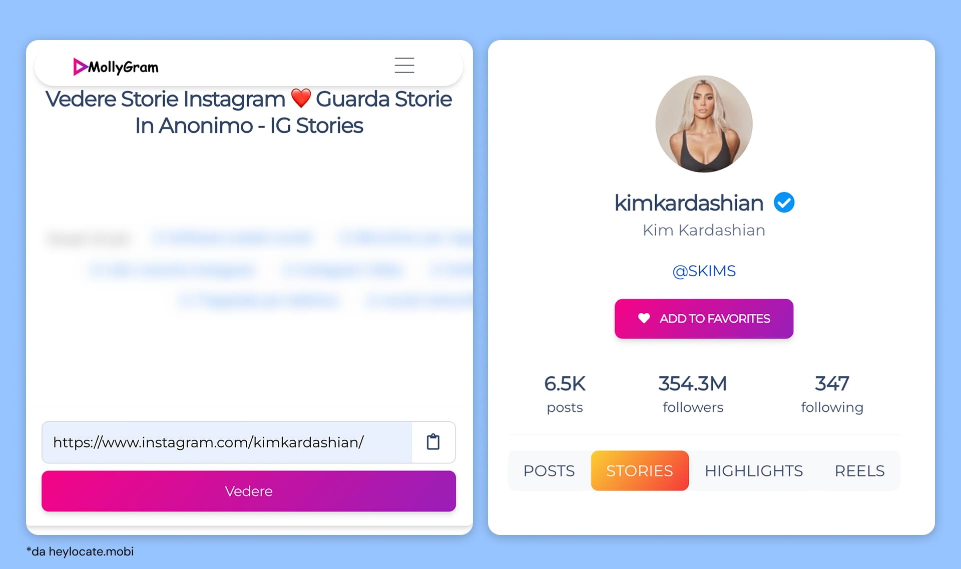 Interfaccia di MollyGram con ricerca profili ed esempio di account trovato.