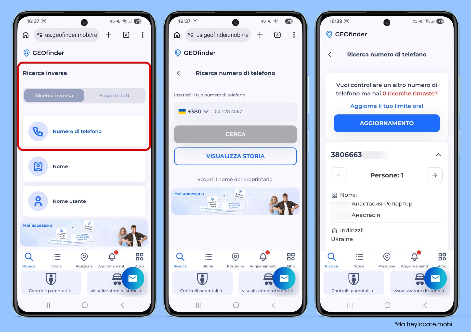 Seleziona Phone number in Reverse Lookup, inserisci il numero di telefono e ottieni il risultato.