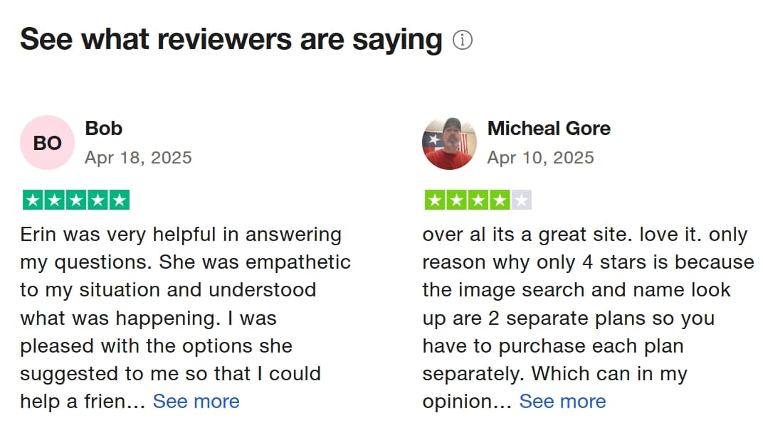 clientes dando avaliações positivas ao Social Catfish na Trustpilot.