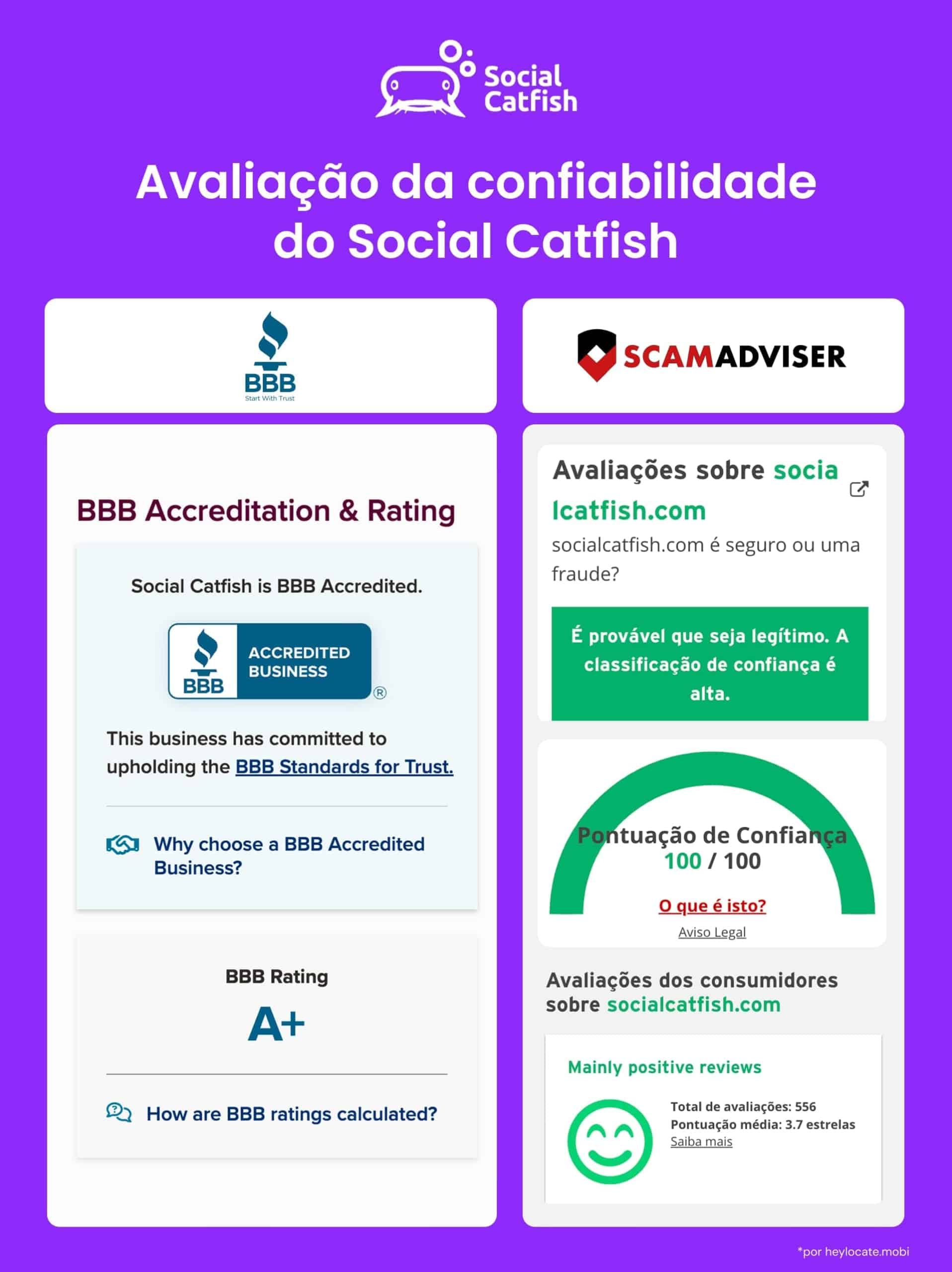 Pontuação de 100% de confiança no Scam Adviser para o Social Catfish.