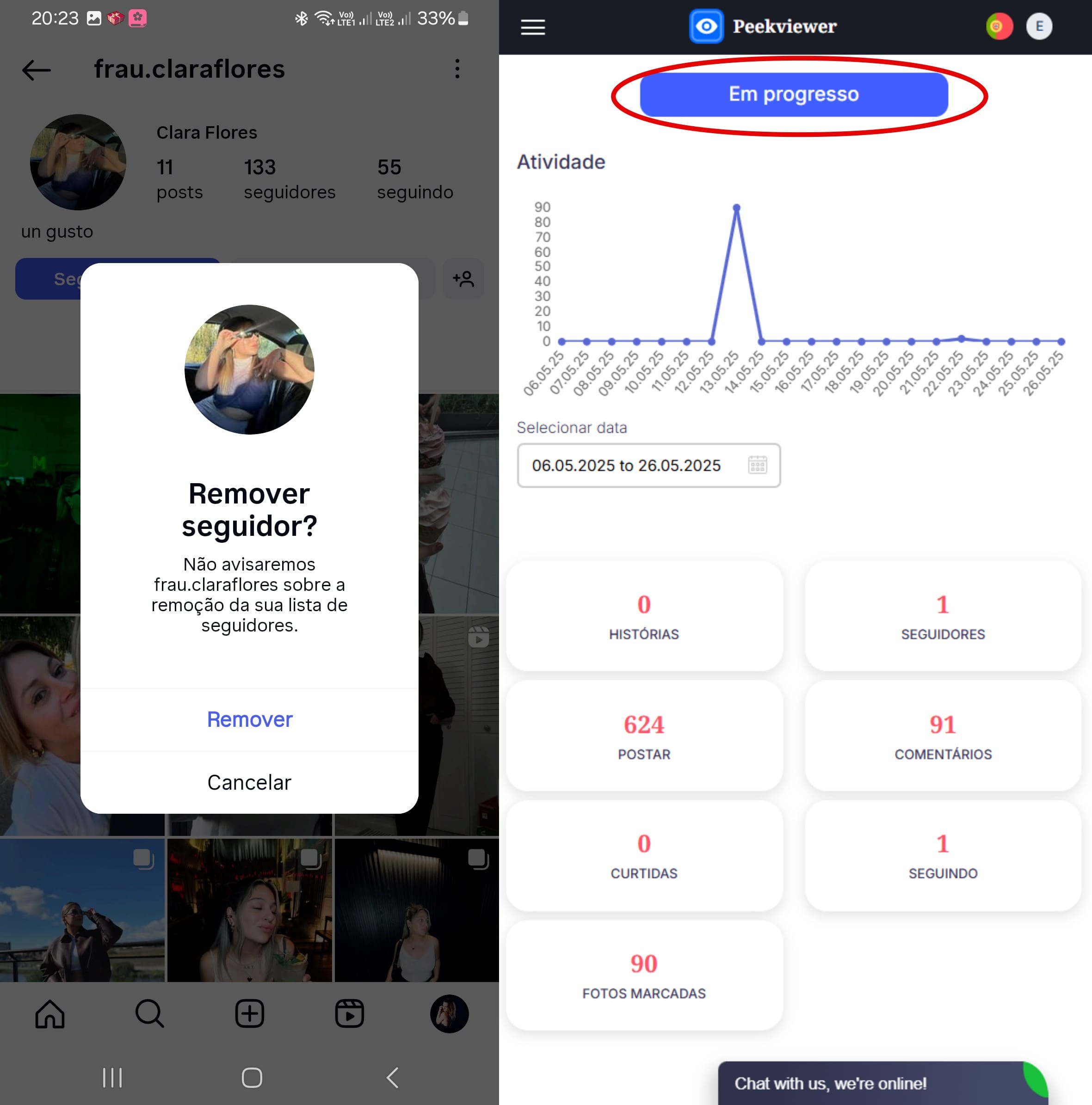Exclusão de assinantes do Instagram e visão geral da análise da conta pelo Peekviewer, incluindo número de postagens, seguidores e comentários.