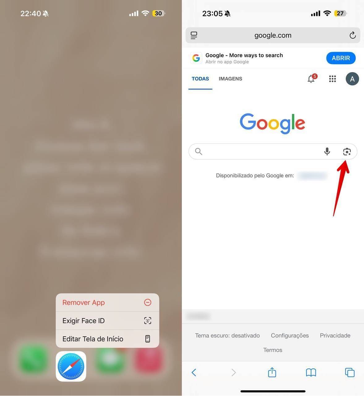 Captura de tela do ícone do Safari e da página principal do Google.