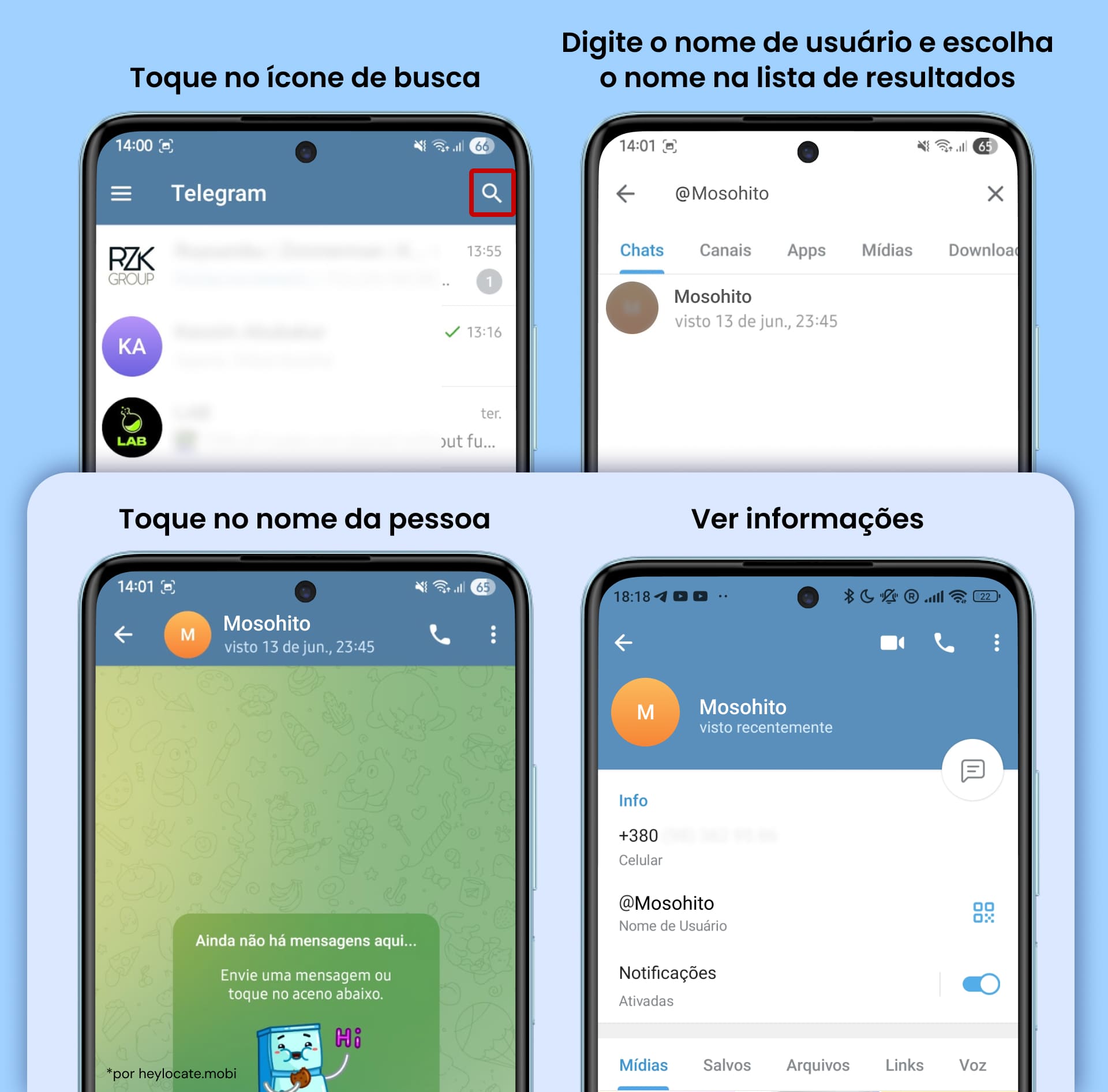 Digite o nome de usuário na barra de pesquisa para ver resultados do perfil do Telegram com esse nome de usuário.