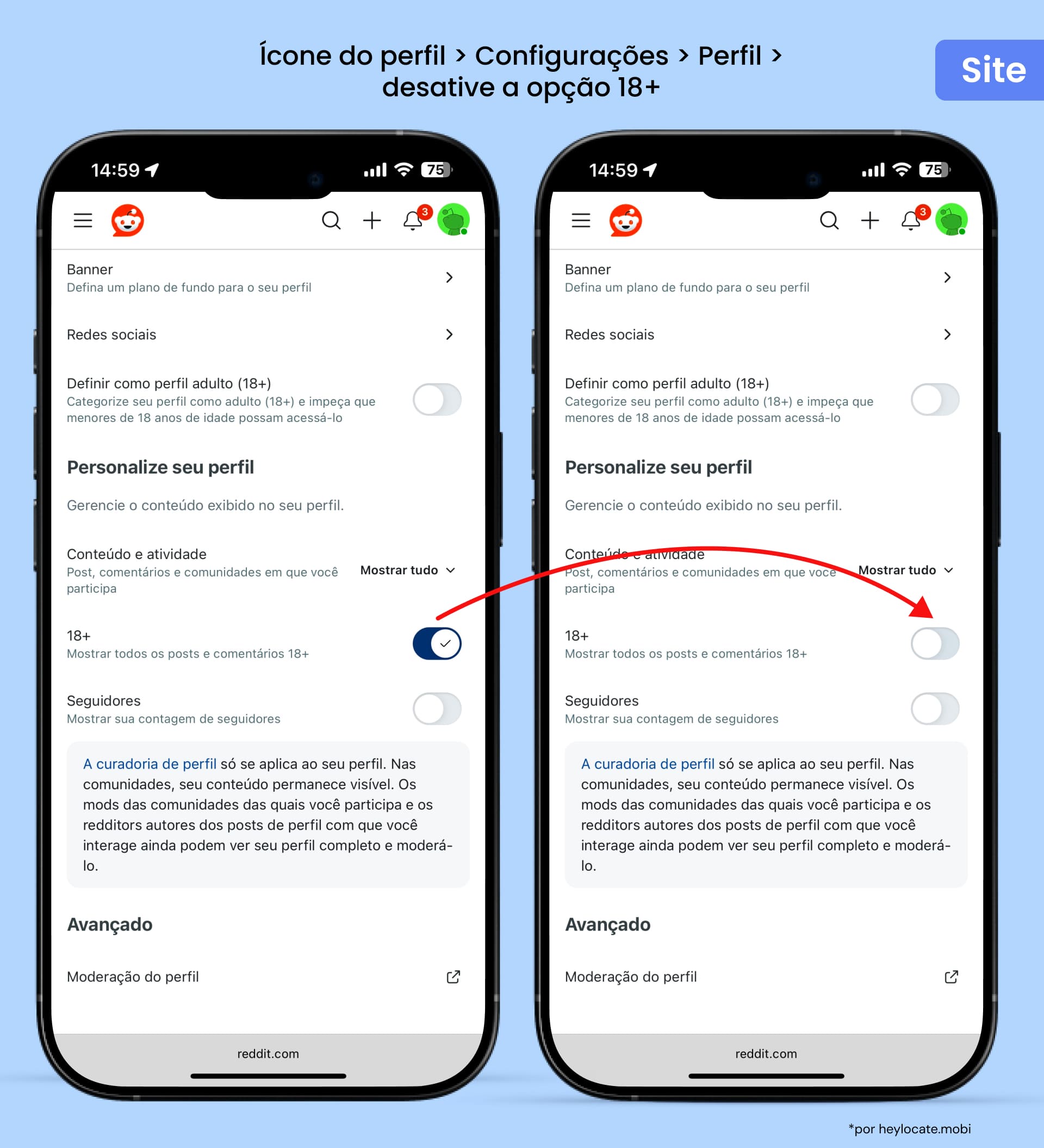 Desativar conteúdo NSFW nas Configurações da conta Reddit através da seção Perfil - Curar seu perfil.
