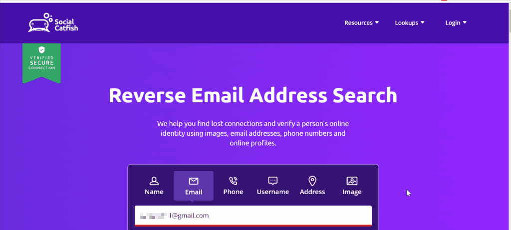 searching Social Catfish reverse email feature