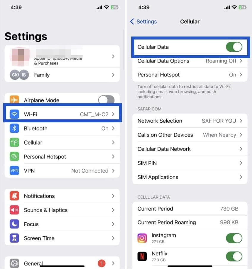 Check Wi-Fi or Cellular Data Steps in iPhone settings