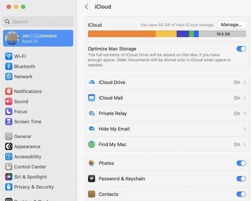iCloud options where you can set saving the passwords and keychain
