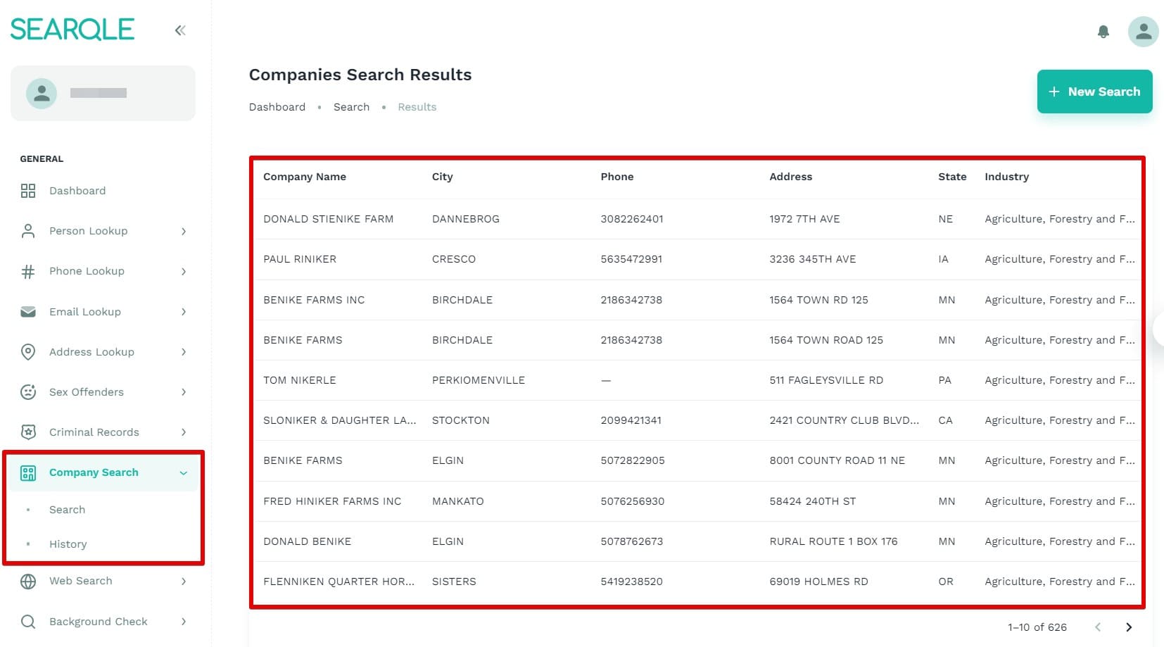 Image showing how to find a company by its name in Searqle and what data will be visible in a search