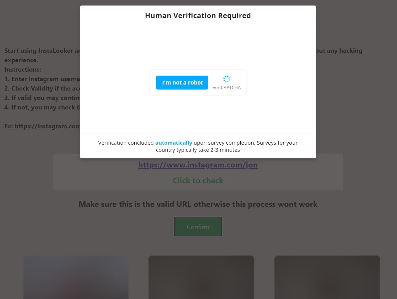 Instaview Human verification stage after searching for a private Instagram account