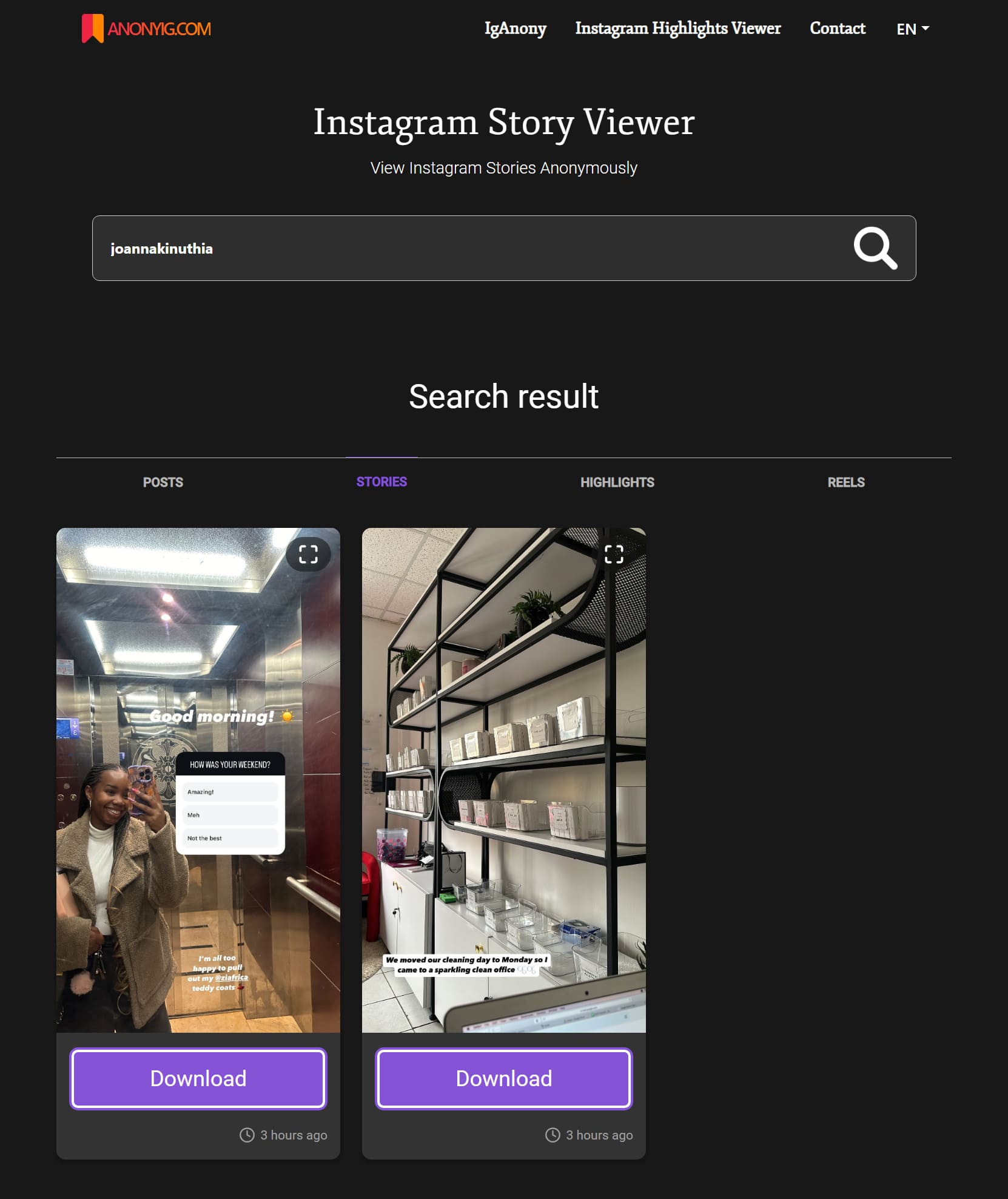 AnonyIG Instagram stories viewer page showing someone’s stories with the option to download them