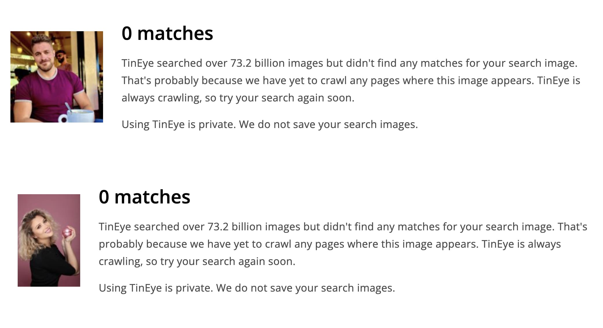 Image search results using TinEye.