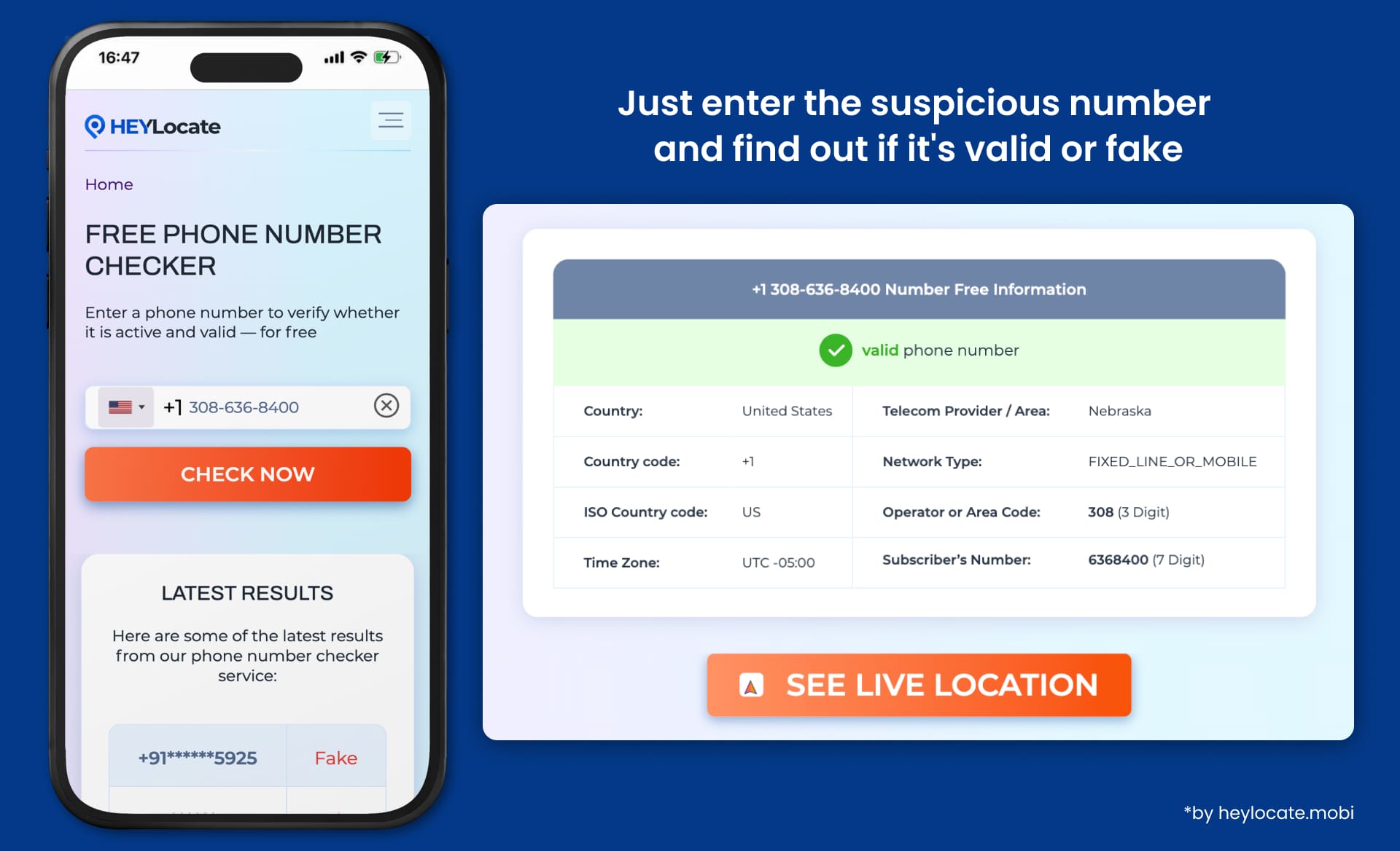 Field for entering a phone number with a free phone number validation check, and the results of the check (Country, Country code, ISO Country code, Time Zone, Telecom Provider / Area, Network Type, Operator or Area Code and Subscriber’s Number).