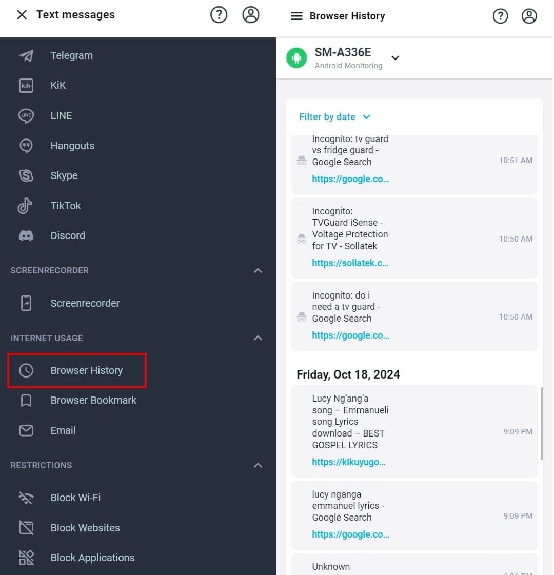 Browser history interface displaying search queries and visited URLs from the target device, including incognito searches.