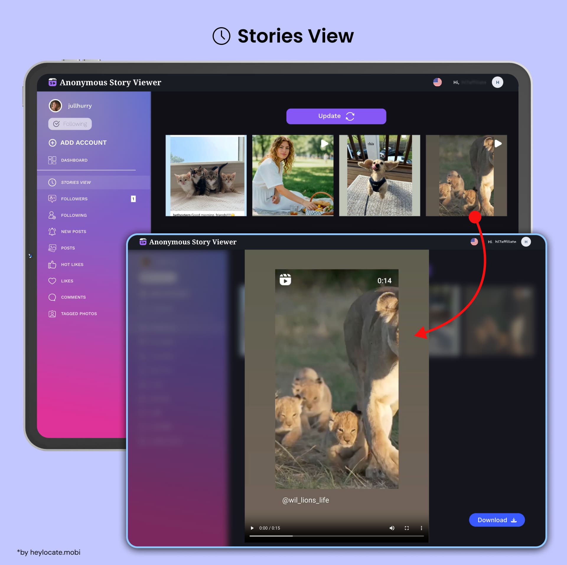 Anonymous Story Viewer Review: Real User Insights