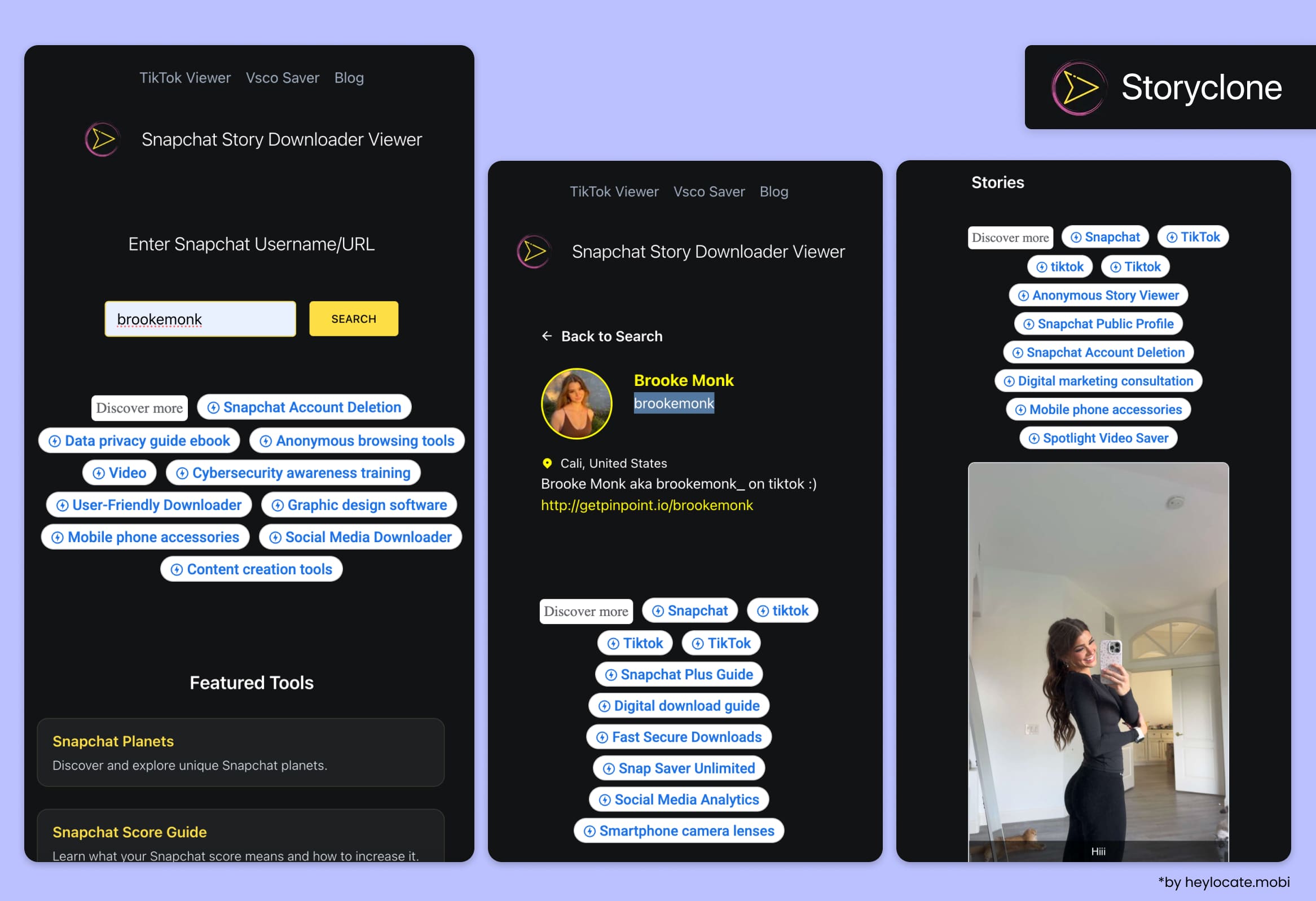 Storyclone interface with Snapchat account search and an example of saved public Stories.