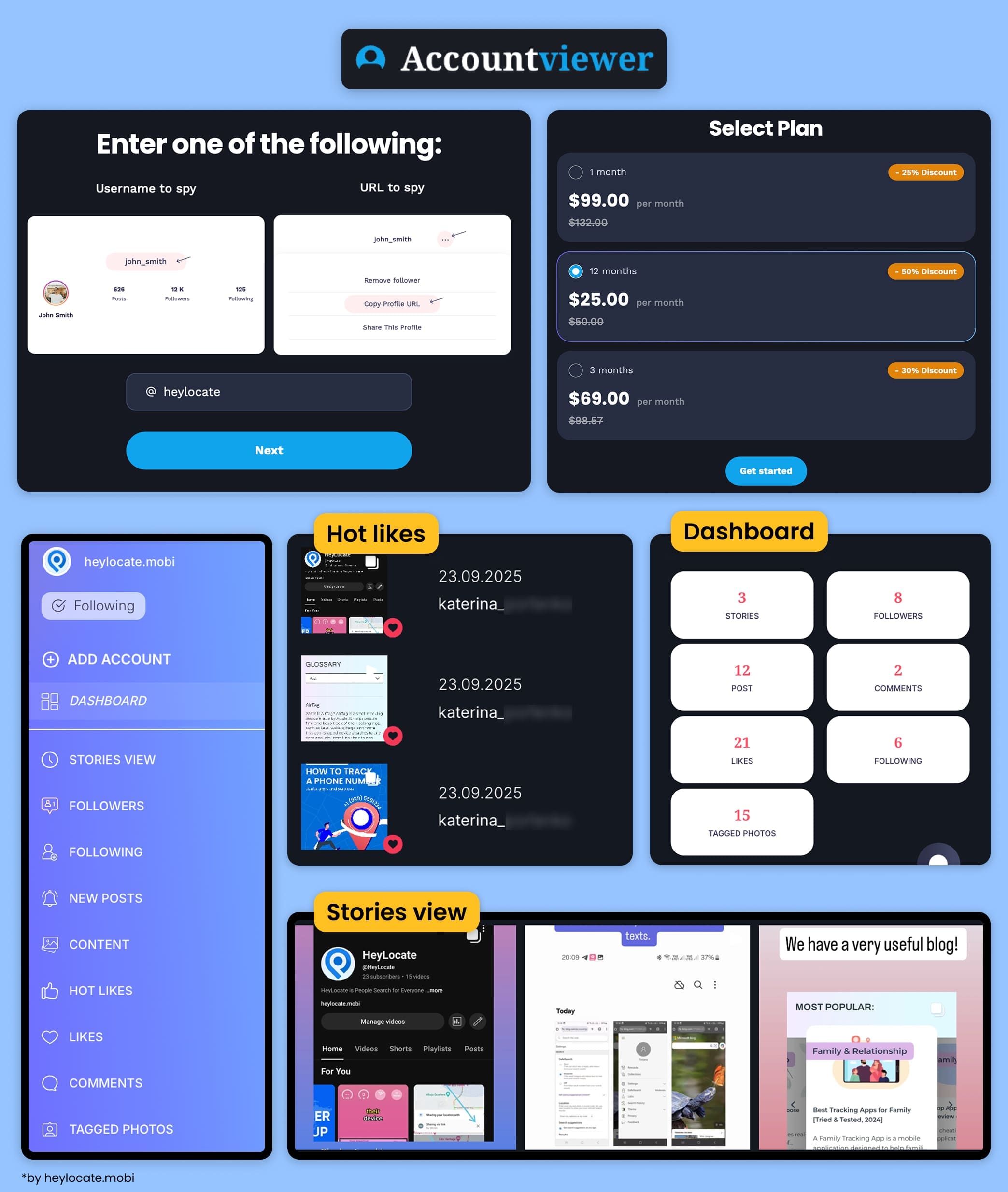 AccountViewer interface with a profile entry form, pricing, control panel, and examples of viewed likes and stories.