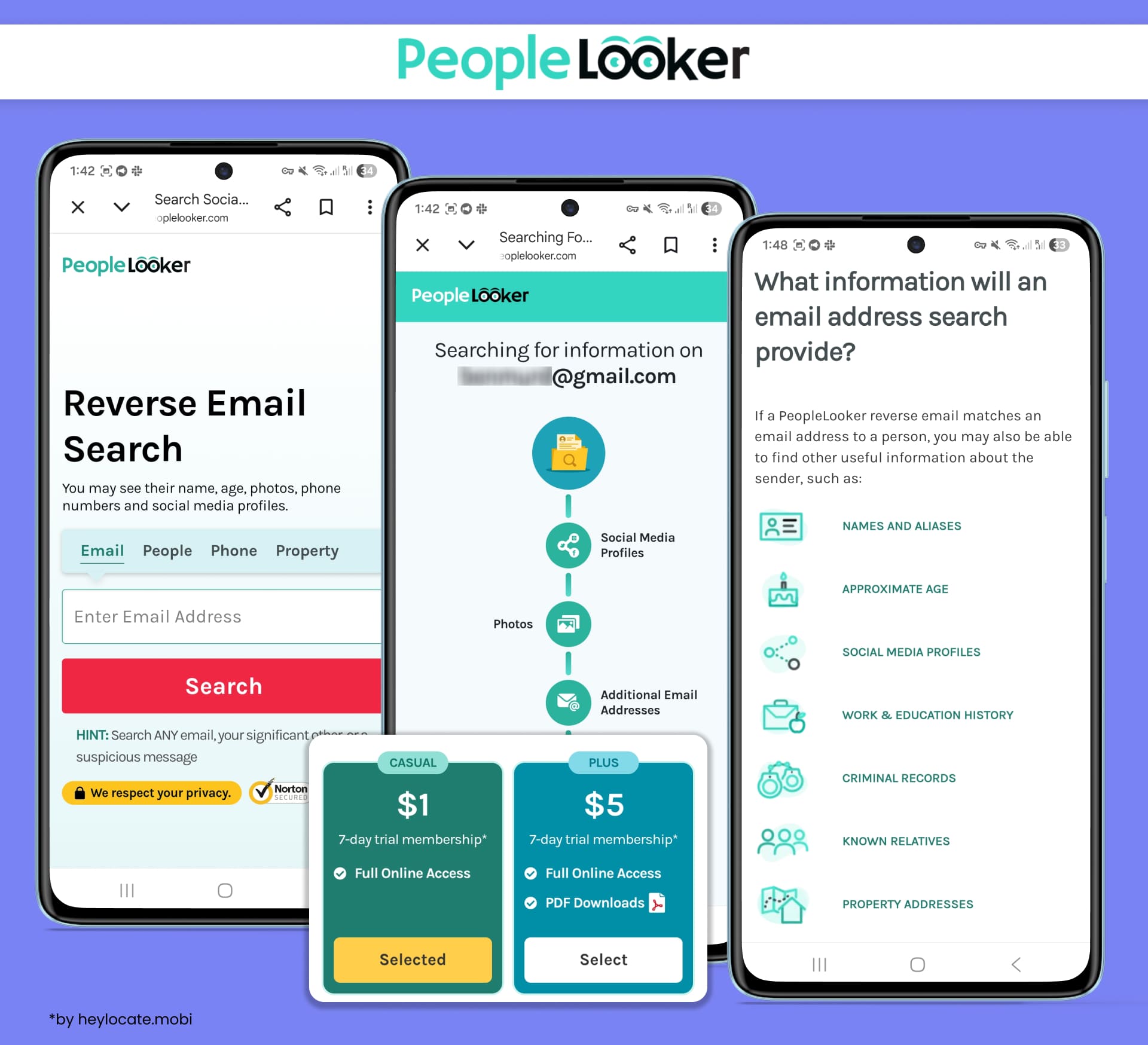 PeopleLooker reverse email search showing email lookup, possible match categories, and pricing options before unlocking the full report.